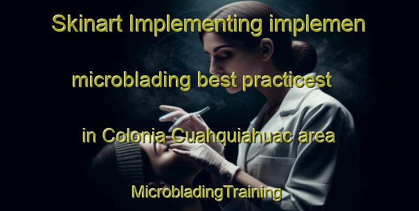 Skinart Implementing implemen microblading best practicest in Colonia Cuahquiahuac area | #MicrobladingTraining #MicrobladingClasses #SkinartTraining-Mexico