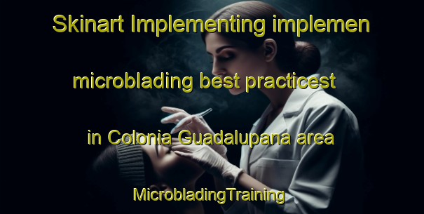 Skinart Implementing implemen microblading best practicest in Colonia Guadalupana area | #MicrobladingTraining #MicrobladingClasses #SkinartTraining-Mexico