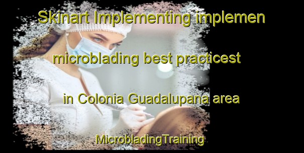 Skinart Implementing implemen microblading best practicest in Colonia Guadalupana area | #MicrobladingTraining #MicrobladingClasses #SkinartTraining-Mexico