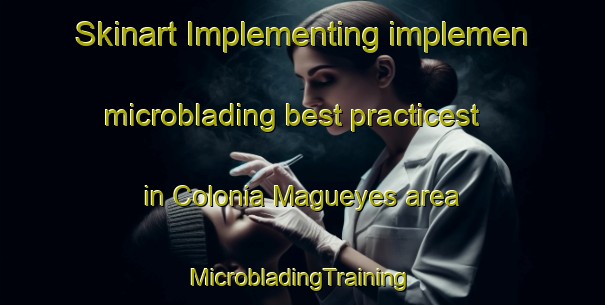 Skinart Implementing implemen microblading best practicest in Colonia Magueyes area | #MicrobladingTraining #MicrobladingClasses #SkinartTraining-Mexico