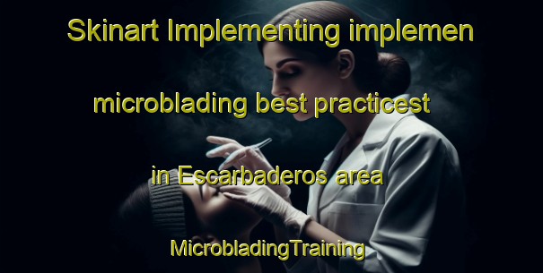 Skinart Implementing implemen microblading best practicest in Escarbaderos area | #MicrobladingTraining #MicrobladingClasses #SkinartTraining-Mexico