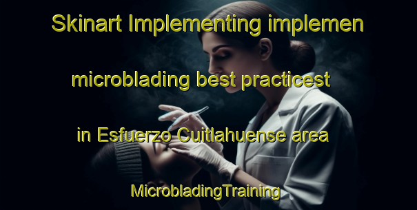 Skinart Implementing implemen microblading best practicest in Esfuerzo Cuitlahuense area | #MicrobladingTraining #MicrobladingClasses #SkinartTraining-Mexico