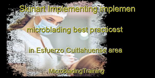 Skinart Implementing implemen microblading best practicest in Esfuerzo Cuitlahuense area | #MicrobladingTraining #MicrobladingClasses #SkinartTraining-Mexico