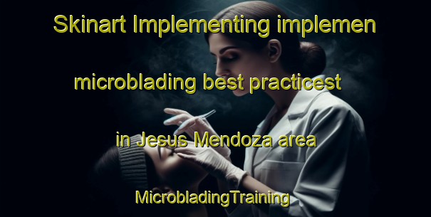 Skinart Implementing implemen microblading best practicest in Jesus Mendoza area | #MicrobladingTraining #MicrobladingClasses #SkinartTraining-Mexico