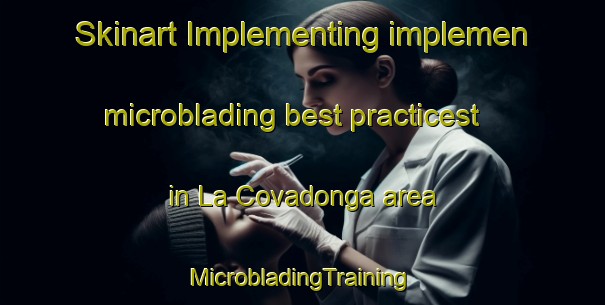 Skinart Implementing implemen microblading best practicest in La Covadonga area | #MicrobladingTraining #MicrobladingClasses #SkinartTraining-Mexico