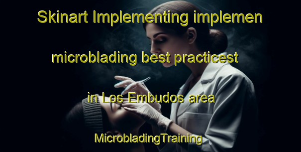 Skinart Implementing implemen microblading best practicest in Los Embudos area | #MicrobladingTraining #MicrobladingClasses #SkinartTraining-Mexico