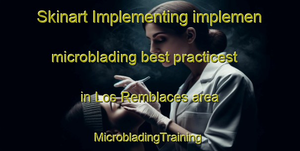 Skinart Implementing implemen microblading best practicest in Los Remblaces area | #MicrobladingTraining #MicrobladingClasses #SkinartTraining-Mexico