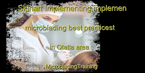 Skinart Implementing implemen microblading best practicest in Otatla area | #MicrobladingTraining #MicrobladingClasses #SkinartTraining-Mexico