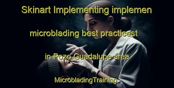 Skinart Implementing implemen microblading best practicest in Pozo Guadalupe area | #MicrobladingTraining #MicrobladingClasses #SkinartTraining-Mexico