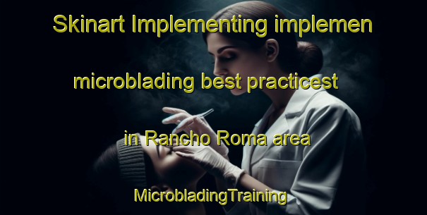 Skinart Implementing implemen microblading best practicest in Rancho Roma area | #MicrobladingTraining #MicrobladingClasses #SkinartTraining-Mexico