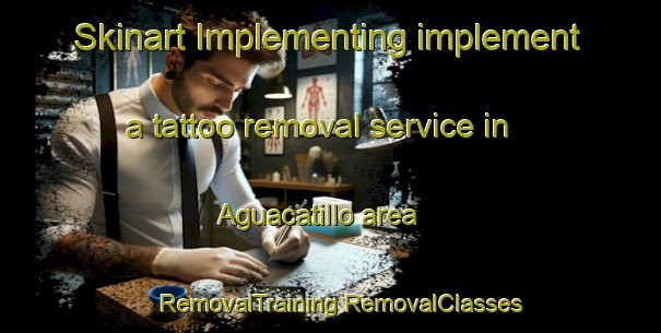 Skinart Implementing implement a tattoo removal service in Aguacatillo area | #RemovalTraining #RemovalClasses #SkinartTraining-Mexico