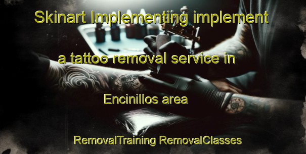 Skinart Implementing implement a tattoo removal service in Encinillos area | #RemovalTraining #RemovalClasses #SkinartTraining-Mexico