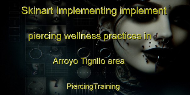 Skinart Implementing implement piercing wellness practices in Arroyo Tigrillo area | #PiercingTraining #PiercingClasses #SkinartTraining-Mexico