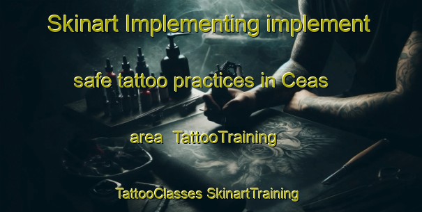 Skinart Implementing implement safe tattoo practices in Ceas area | #TattooTraining #TattooClasses #SkinartTraining-Mexico