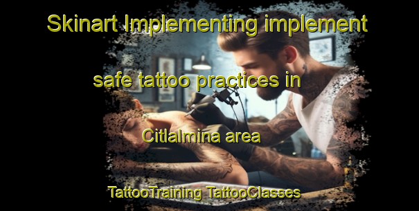 Skinart Implementing implement safe tattoo practices in Citlalmina area | #TattooTraining #TattooClasses #SkinartTraining-Mexico