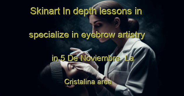 Skinart In-depth lessons in specialize in eyebrow artistry in 5 De Noviembre  La Cristalina area | EyebrowTraining | EyebrowClasses | SkinartTraining-Mexico
