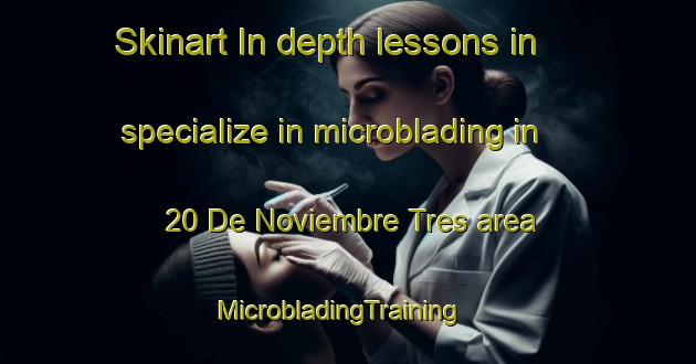 Skinart In-depth lessons in specialize in microblading in 20 De Noviembre Tres area | MicrobladingTraining | MicrobladingClasses | SkinartTraining-Mexico