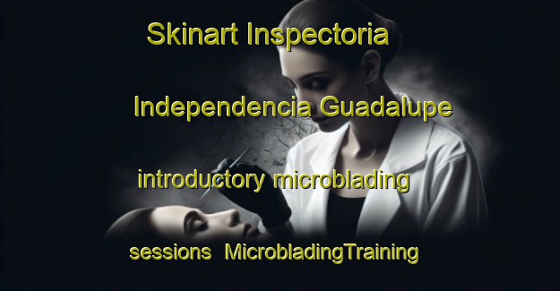 Skinart Inspectoria Independencia Guadalupe introductory microblading sessions | #MicrobladingTraining #MicrobladingClasses #SkinartTraining-Mexico