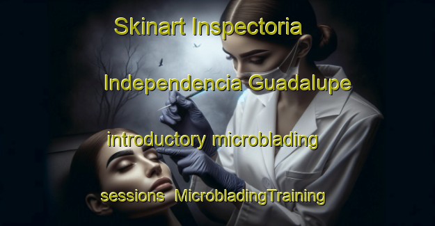 Skinart Inspectoria Independencia Guadalupe introductory microblading sessions | #MicrobladingTraining #MicrobladingClasses #SkinartTraining-Mexico