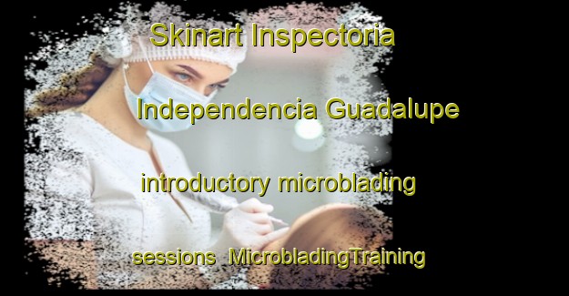 Skinart Inspectoria Independencia Guadalupe introductory microblading sessions | #MicrobladingTraining #MicrobladingClasses #SkinartTraining-Mexico