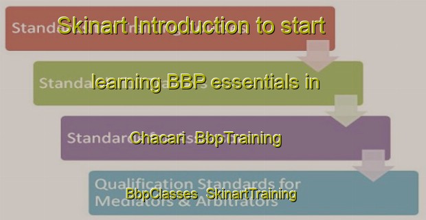 Skinart Introduction to start learning BBP essentials in Chacari | BbpTraining | BbpClasses | SkinartTraining-Mexico