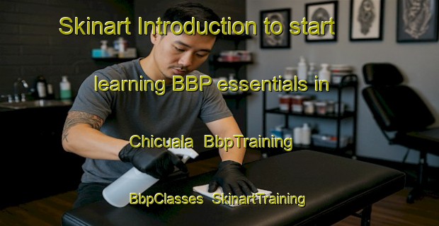 Skinart Introduction to start learning BBP essentials in Chicuala | BbpTraining | BbpClasses | SkinartTraining-Mexico