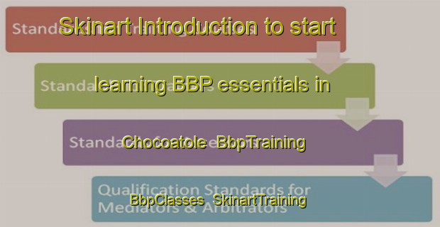 Skinart Introduction to start learning BBP essentials in Chocoatole | BbpTraining | BbpClasses | SkinartTraining-Mexico