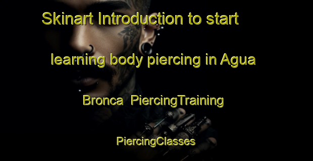 Skinart Introduction to start learning body piercing in Agua Bronca | #PiercingTraining #PiercingClasses #SkinartTraining-Mexico