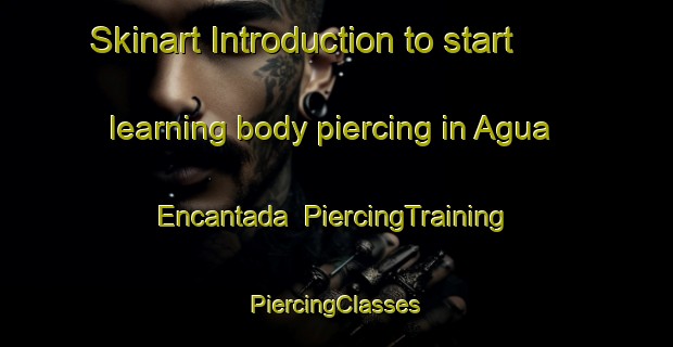 Skinart Introduction to start learning body piercing in Agua Encantada | #PiercingTraining #PiercingClasses #SkinartTraining-Mexico