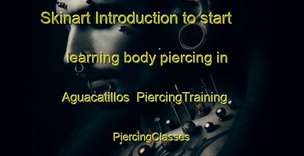 Skinart Introduction to start learning body piercing in Aguacatillos | #PiercingTraining #PiercingClasses #SkinartTraining-Mexico