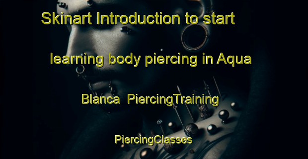 Skinart Introduction to start learning body piercing in Aqua Blanca | #PiercingTraining #PiercingClasses #SkinartTraining-Mexico