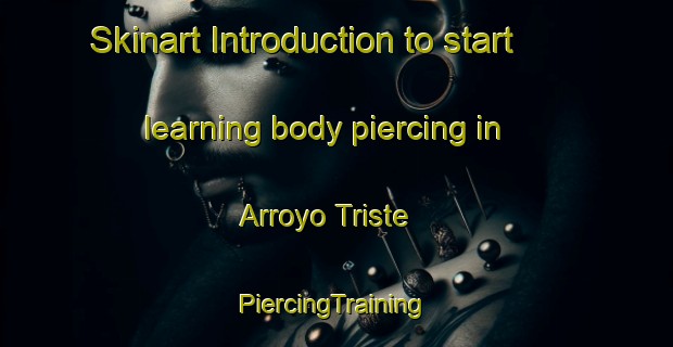 Skinart Introduction to start learning body piercing in Arroyo Triste | #PiercingTraining #PiercingClasses #SkinartTraining-Mexico