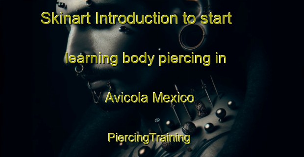 Skinart Introduction to start learning body piercing in Avicola Mexico | #PiercingTraining #PiercingClasses #SkinartTraining-Mexico