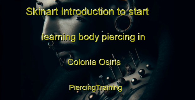 Skinart Introduction to start learning body piercing in Colonia Osiris | #PiercingTraining #PiercingClasses #SkinartTraining-Mexico