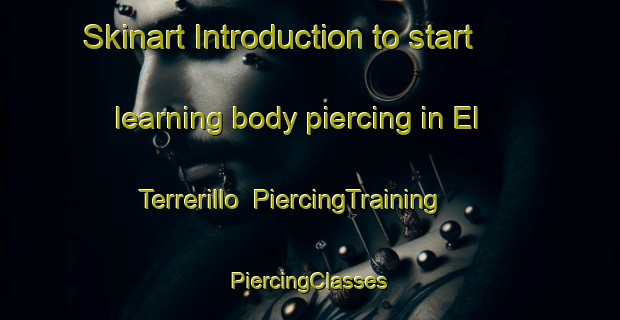 Skinart Introduction to start learning body piercing in El Terrerillo | #PiercingTraining #PiercingClasses #SkinartTraining-Mexico