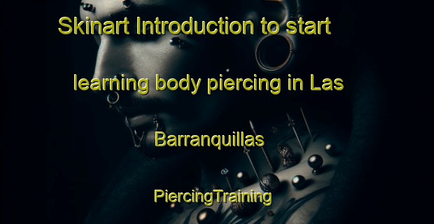 Skinart Introduction to start learning body piercing in Las Barranquillas | #PiercingTraining #PiercingClasses #SkinartTraining-Mexico