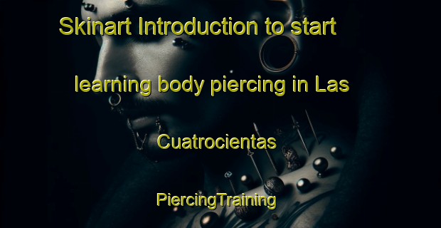 Skinart Introduction to start learning body piercing in Las Cuatrocientas | #PiercingTraining #PiercingClasses #SkinartTraining-Mexico