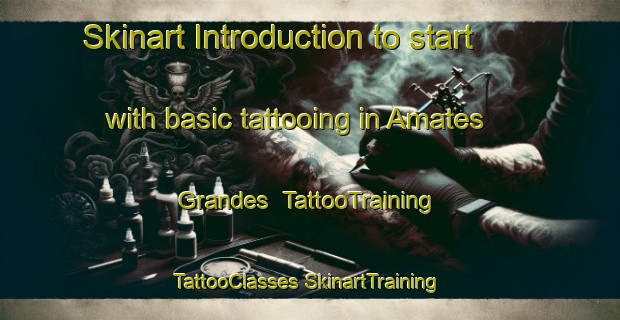 Skinart Introduction to start with basic tattooing in Amates Grandes | #TattooTraining #TattooClasses #SkinartTraining-Mexico