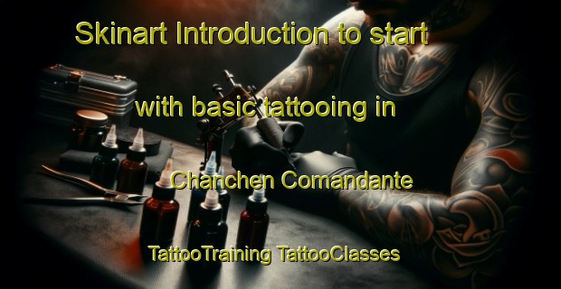 Skinart Introduction to start with basic tattooing in Chanchen Comandante | #TattooTraining #TattooClasses #SkinartTraining-Mexico