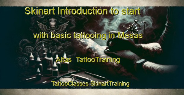 Skinart Introduction to start with basic tattooing in Mesas Altas | #TattooTraining #TattooClasses #SkinartTraining-Mexico