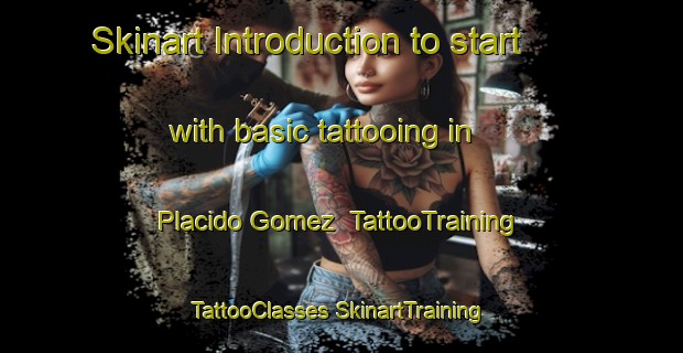 Skinart Introduction to start with basic tattooing in Placido Gomez | #TattooTraining #TattooClasses #SkinartTraining-Mexico