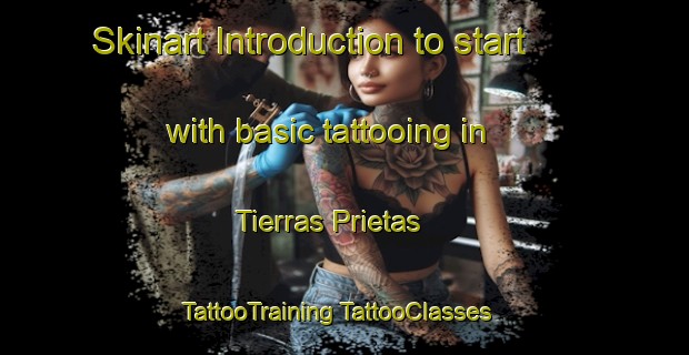 Skinart Introduction to start with basic tattooing in Tierras Prietas | #TattooTraining #TattooClasses #SkinartTraining-Mexico