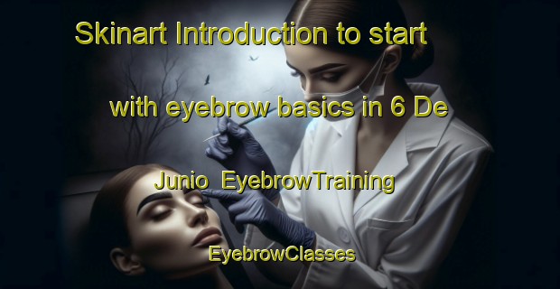 Skinart Introduction to start with eyebrow basics in 6 De Junio | EyebrowTraining | EyebrowClasses | SkinartTraining-Mexico