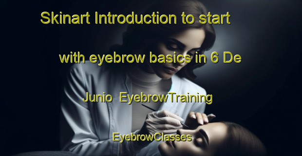 Skinart Introduction to start with eyebrow basics in 6 De Junio | EyebrowTraining | EyebrowClasses | SkinartTraining-Mexico