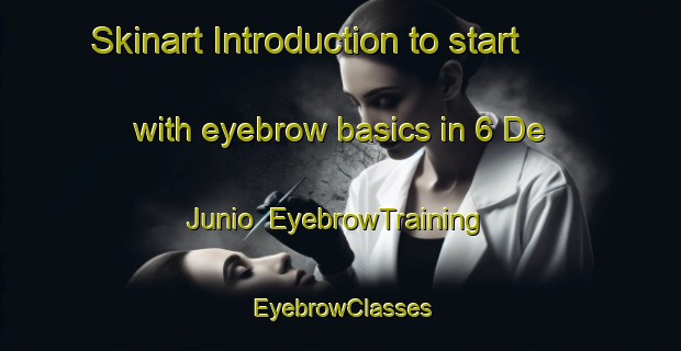 Skinart Introduction to start with eyebrow basics in 6 De Junio | EyebrowTraining | EyebrowClasses | SkinartTraining-Mexico