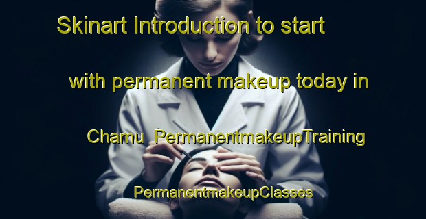 Skinart Introduction to start with permanent makeup today in Chamu | #PermanentmakeupTraining #PermanentmakeupClasses #SkinartTraining-Mexico