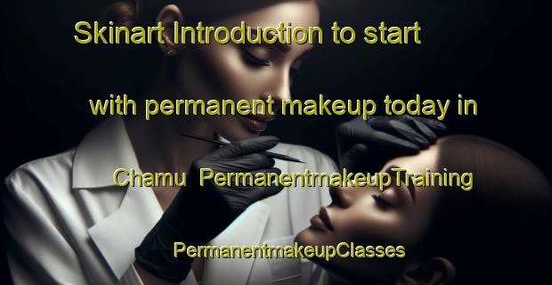 Skinart Introduction to start with permanent makeup today in Chamu | #PermanentmakeupTraining #PermanentmakeupClasses #SkinartTraining-Mexico