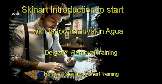 Skinart Introduction to start with tattoo removal in Agua Delgada | #RemovalTraining #RemovalClasses #SkinartTraining-Mexico