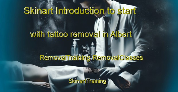 Skinart Introduction to start with tattoo removal in Albert | #RemovalTraining #RemovalClasses #SkinartTraining-Mexico