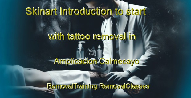 Skinart Introduction to start with tattoo removal in Amplicacion Calmecayo | #RemovalTraining #RemovalClasses #SkinartTraining-Mexico